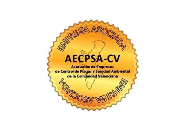 Empresa Asociada AECPSA-CV